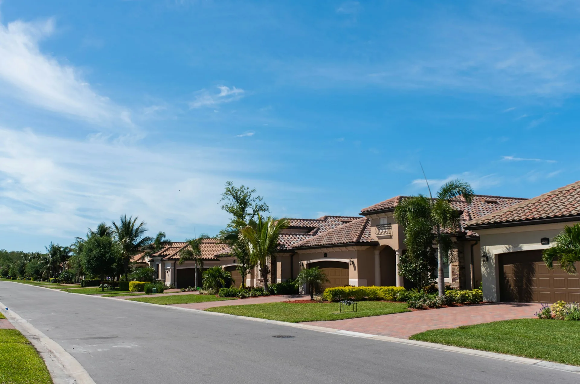 Palm-lined residential street with matching homes
